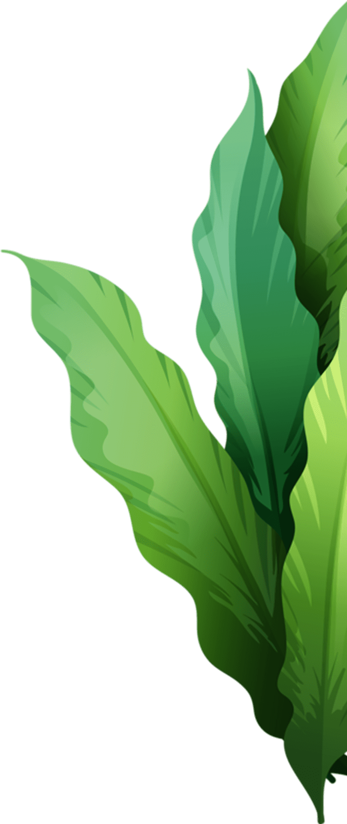 Huntinorganics
